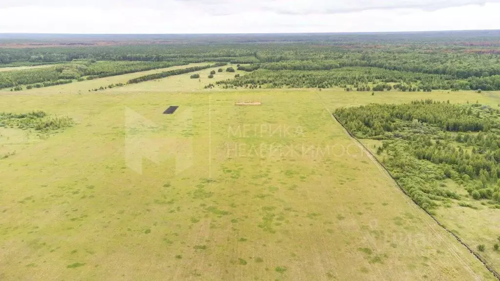 Участок в Тюменская область, Тюменский муниципальный округ, д. Речкина ... - Фото 1