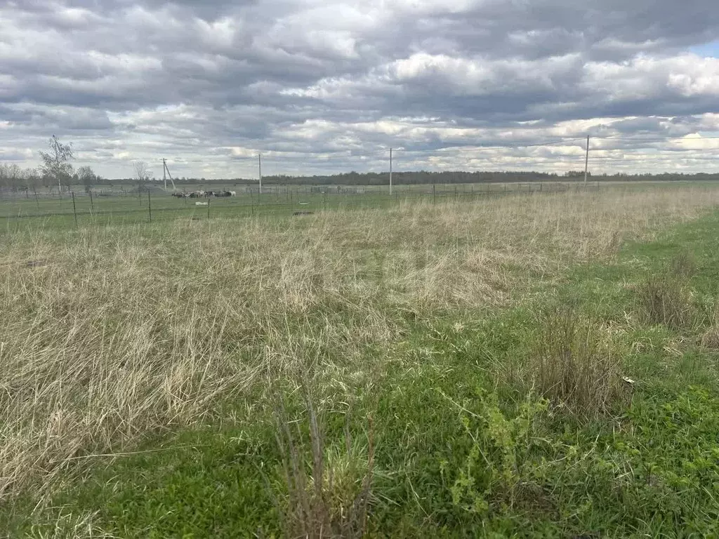 Участок в Тверская область, Калининский муниципальный округ, д. ... - Фото 1