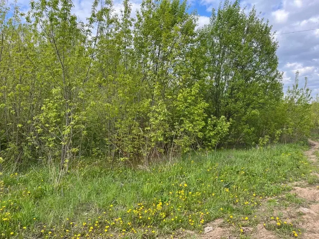 Участок в Московская область, Домодедово городской округ, д. ... - Фото 0