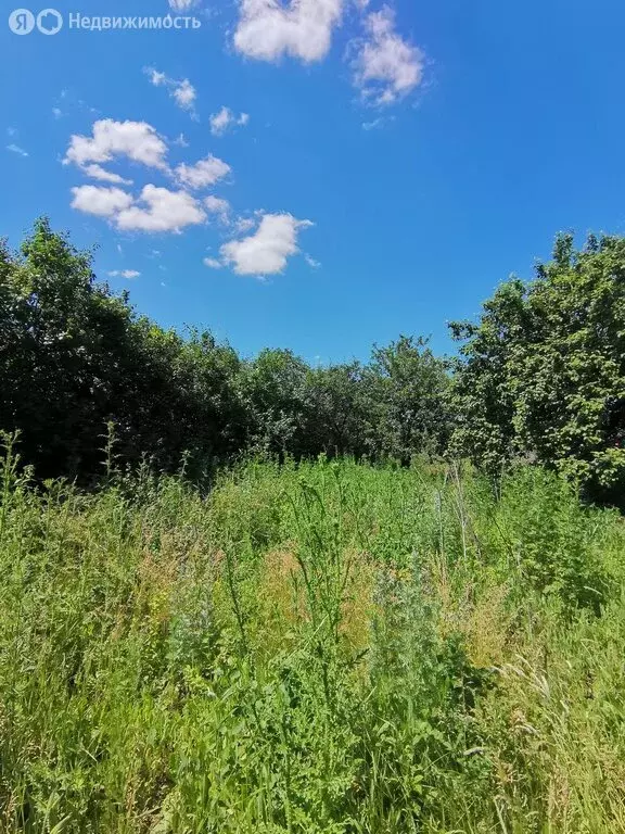 Участок в село Ленинское, Школьная улица (10 м) - Фото 2