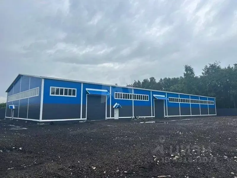 Склад в Московская область, Домодедово Барыбино мкр, ул. ... - Фото 1