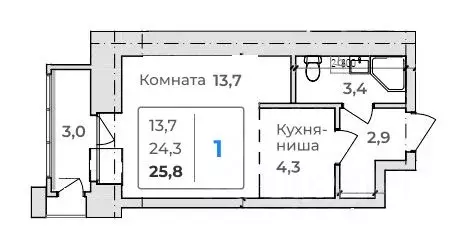 Студия Амурская область, Благовещенск  (25.8 м) - Фото 1