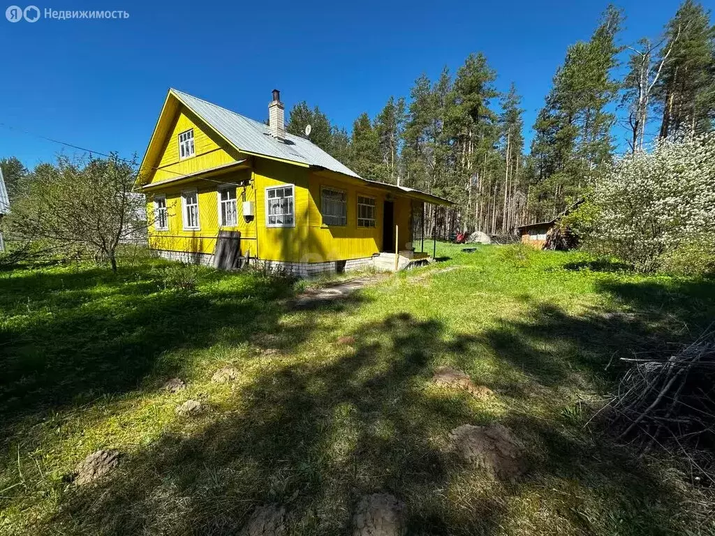 Купить дом ул. Центральная, Мезга, продажа домов ул. Центральная, Мезга в  черте города на AFY.ru