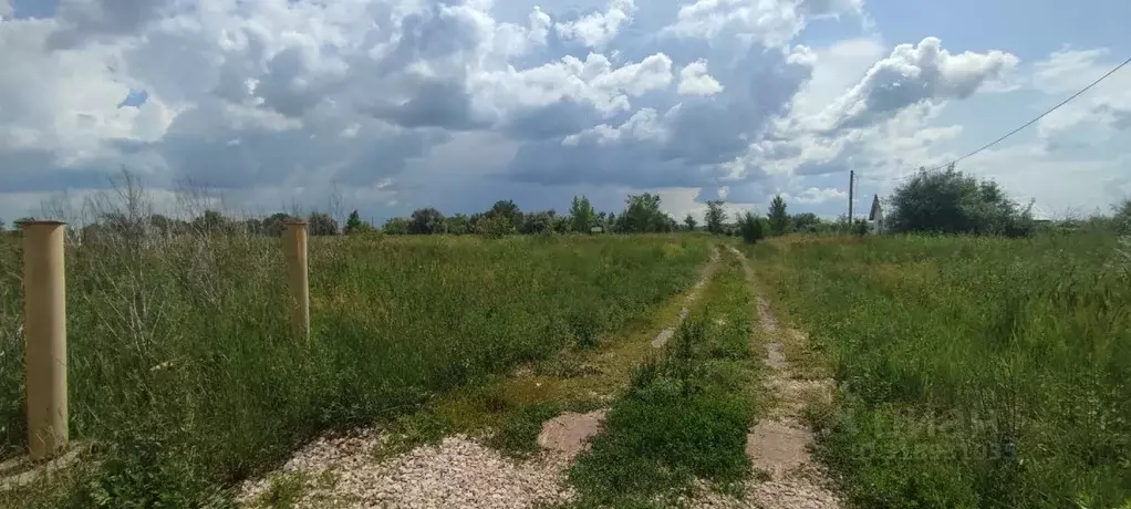 Участок в Самарская область, Ставропольский район, Нижнее Санчелеево ... - Фото 0
