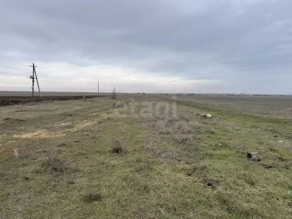 Участок в Крым, Сакский район, Молочненское с/пос, с. Витино  (3.18 ... - Фото 1