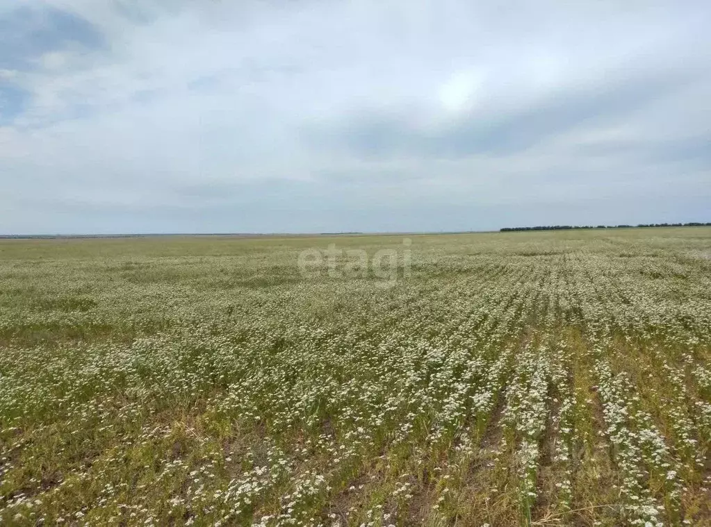 участок в крым, евпатория городской округ, новоозерное пгт пл. . - Фото 1