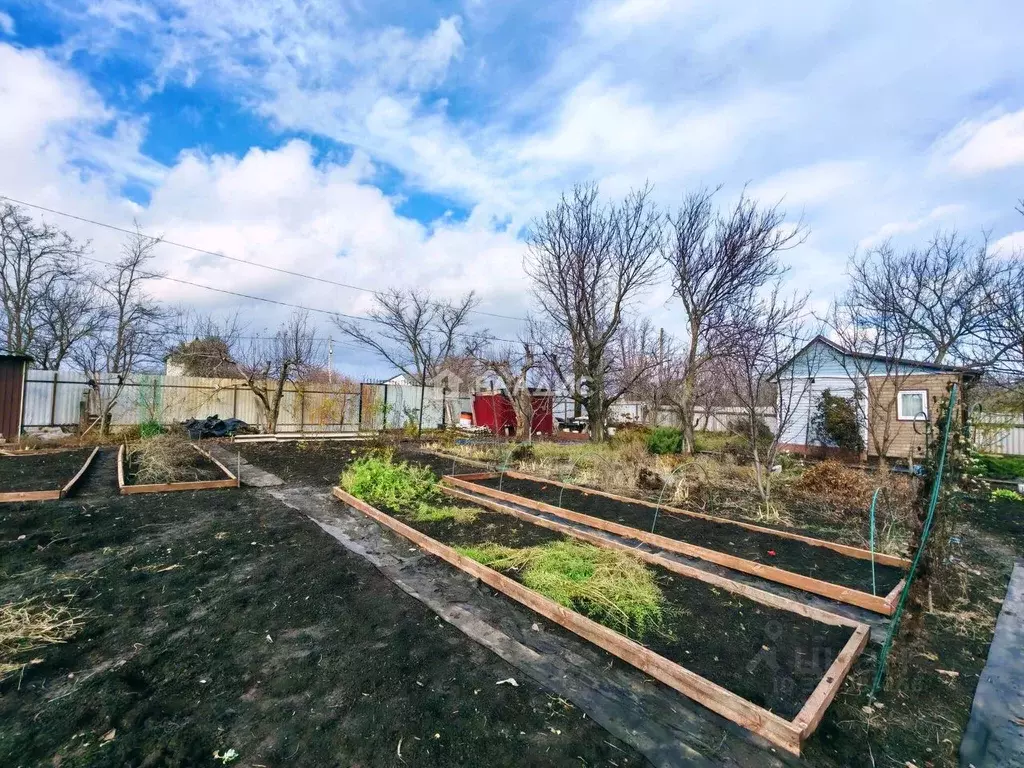 Участок в Белгородская область, Яковлевский муниципальный округ, ... - Фото 1