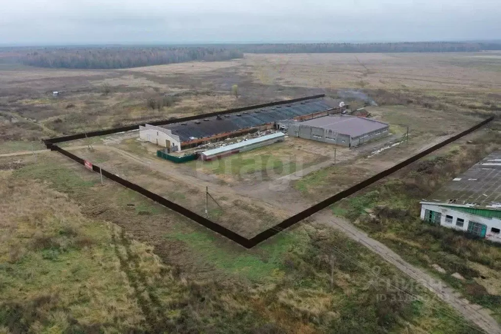 Участок в Московская область, Наро-Фоминский городской округ, д. ... - Фото 1