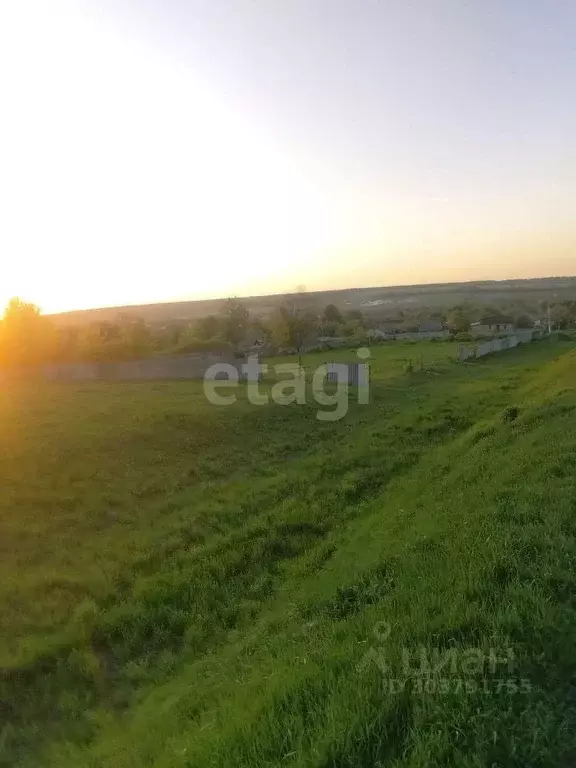 Участок в Белгородская область, Чернянский район, Русскохаланское ... - Фото 0