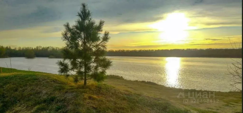 Участок в Новосибирская область, Новосибирский район, Кубовинский ... - Фото 2