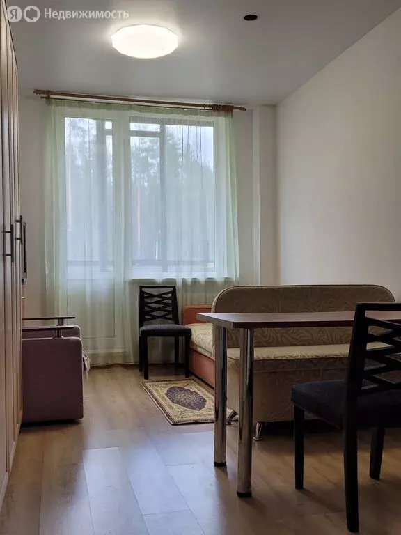 Квартира-студия: Сертолово, Пограничная улица, 4к3 (23.7 м) - Фото 2