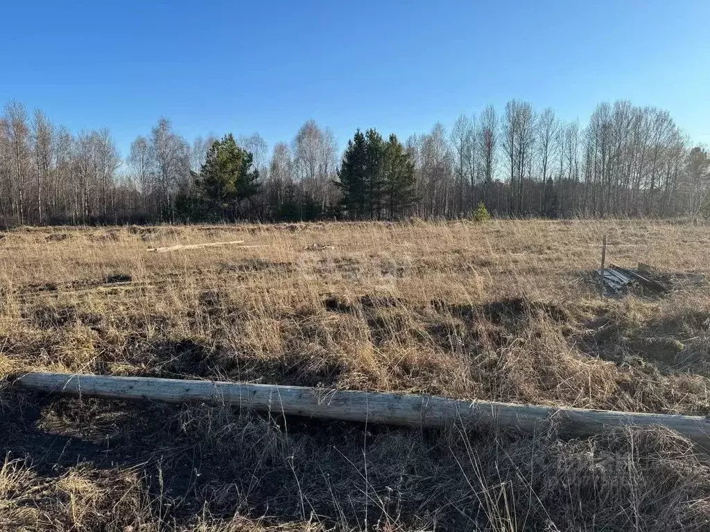 Участок в Томская область, Томский район, с. Кафтанчиково ул. ... - Фото 0