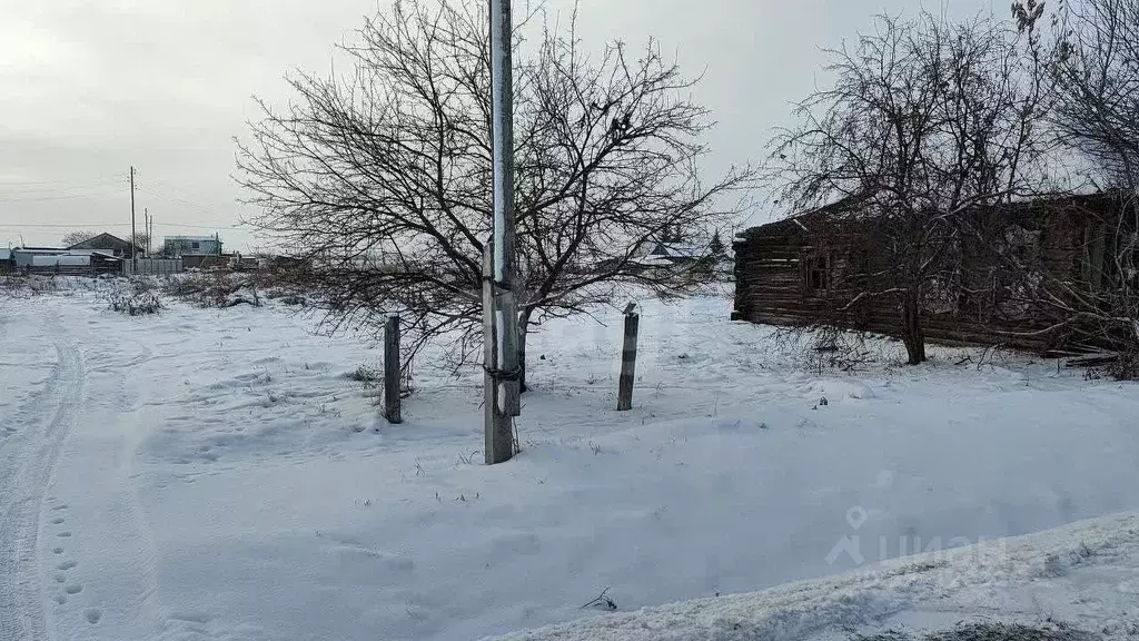 Участок в Тюменская область, Исетский муниципальный округ, с. Шорохово ... - Фото 1