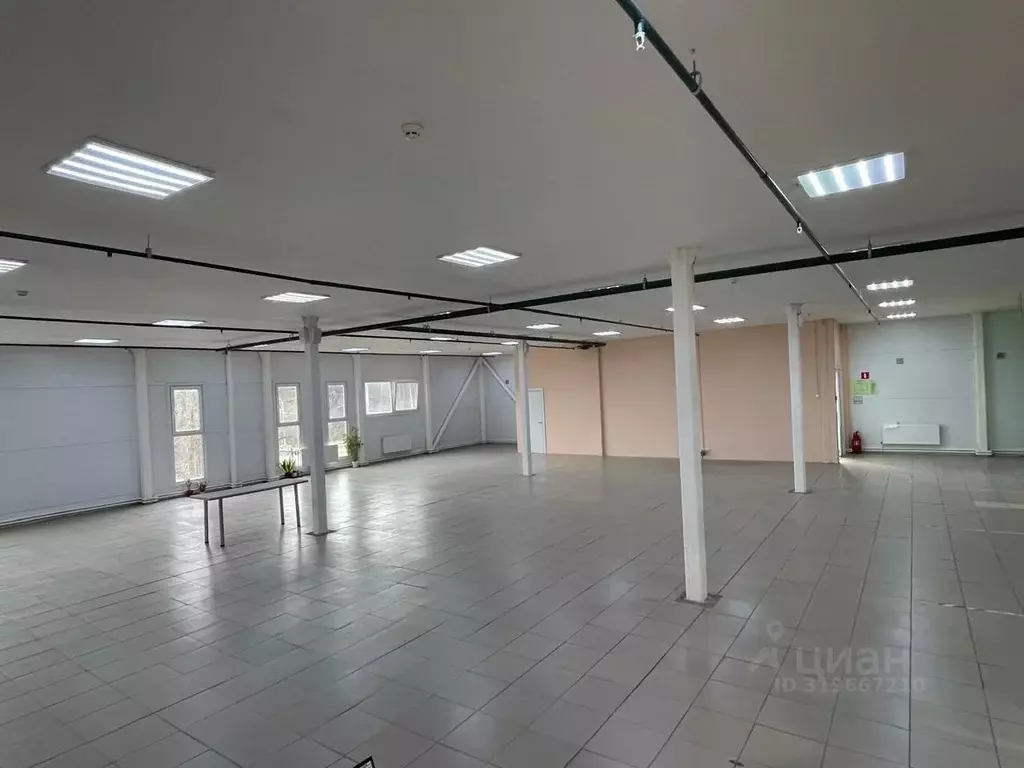 Торговая площадь в Московская область, Истра Московская ул., 56 (276 ... - Фото 0