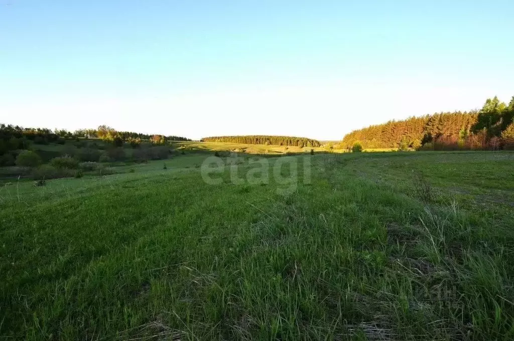 Участок в Татарстан, Лаишевский район, с. Среднее Девятово, ... - Фото 1
