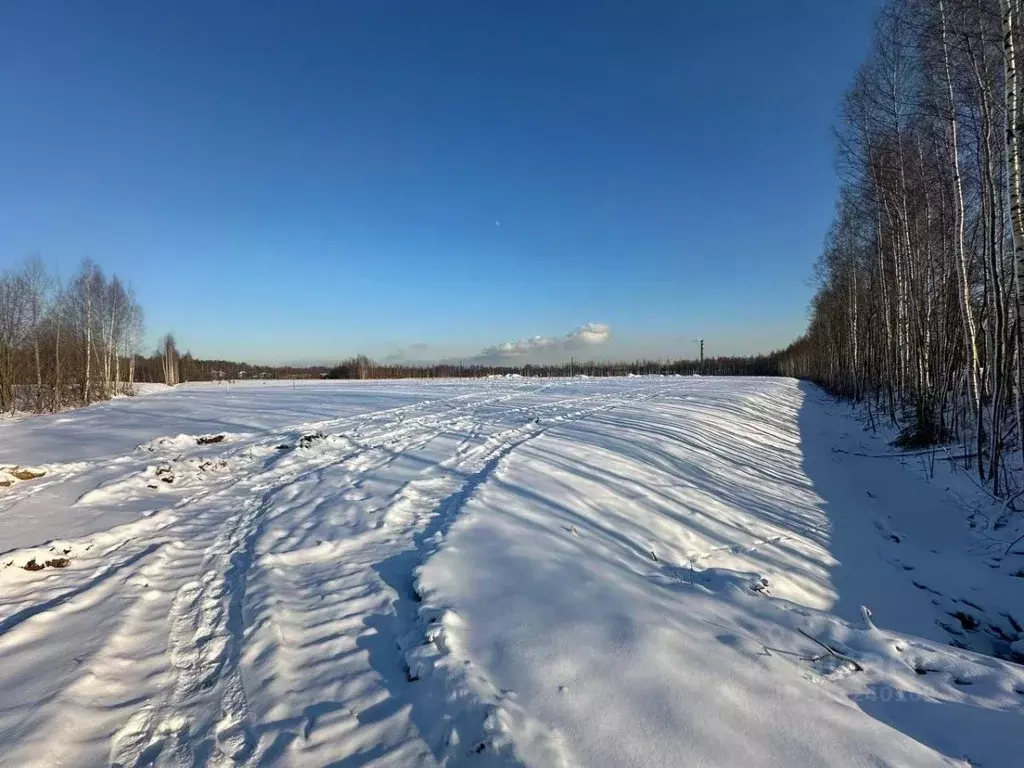 Участок в Ленинградская область, Всеволожский район, Бугровское ... - Фото 1