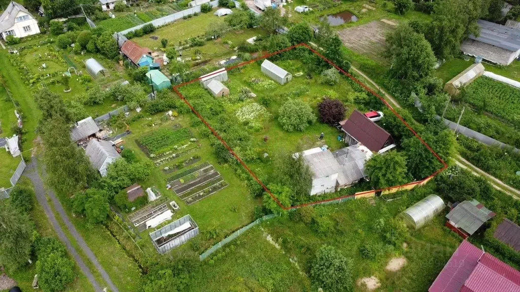 Участок в Ленинградская область, Волховский район, Сясьстройское ... - Фото 2
