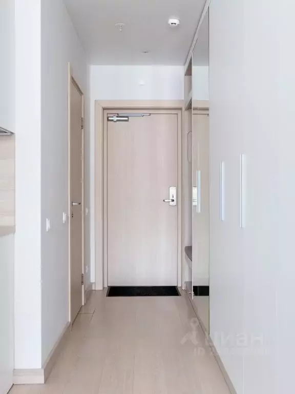 Студия Санкт-Петербург Социалистическая ул., 21 (24.0 м) - Фото 2