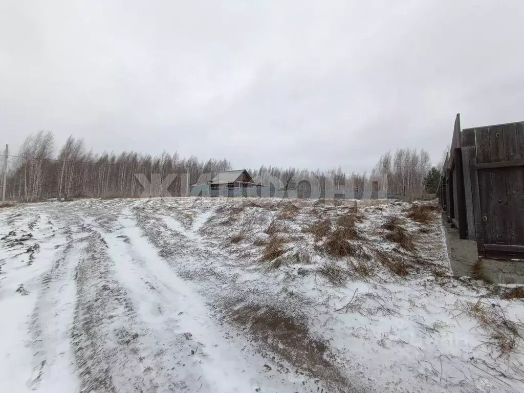 Участок в Новосибирская область, Новосибирский район, Станционный ... - Фото 1