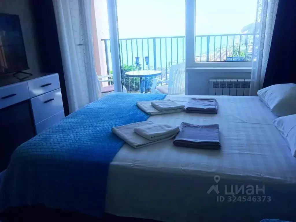 1-к кв. Краснодарский край, Сочи городской округ, Дагомыс пгт ул. ... - Фото 2