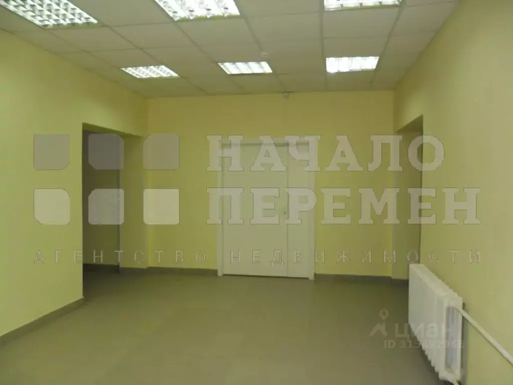 Помещение свободного назначения в Новосибирская область, Новосибирск ... - Фото 1