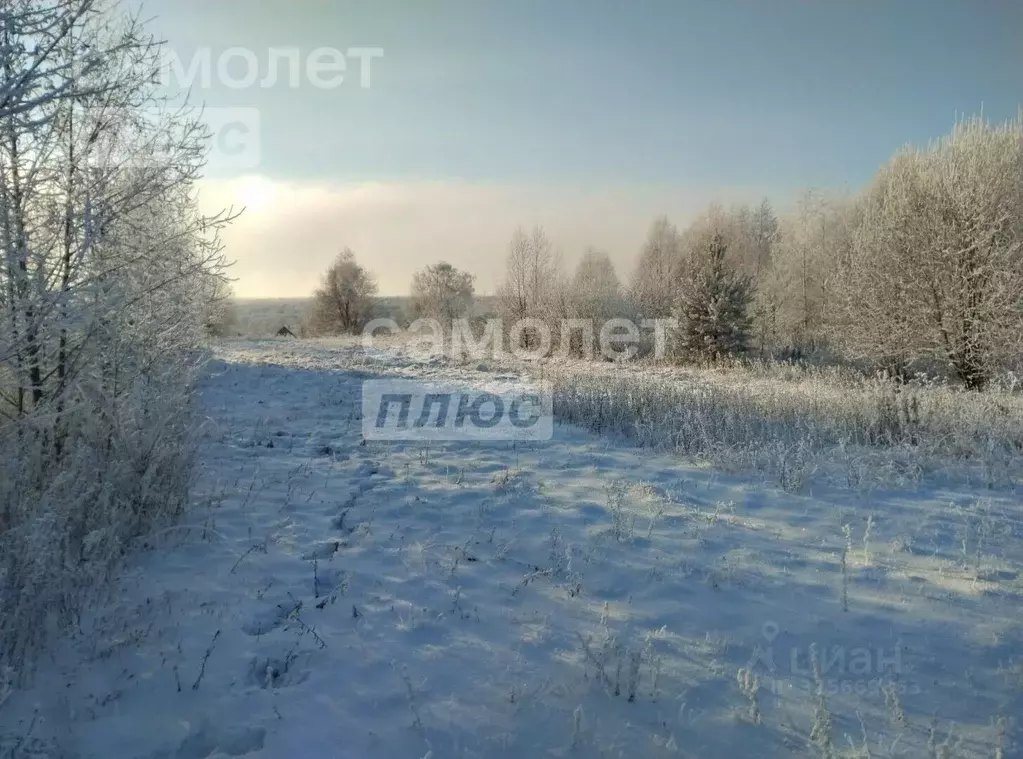 Участок в Костромская область, Красносельский район, Прискоковское ... - Фото 1
