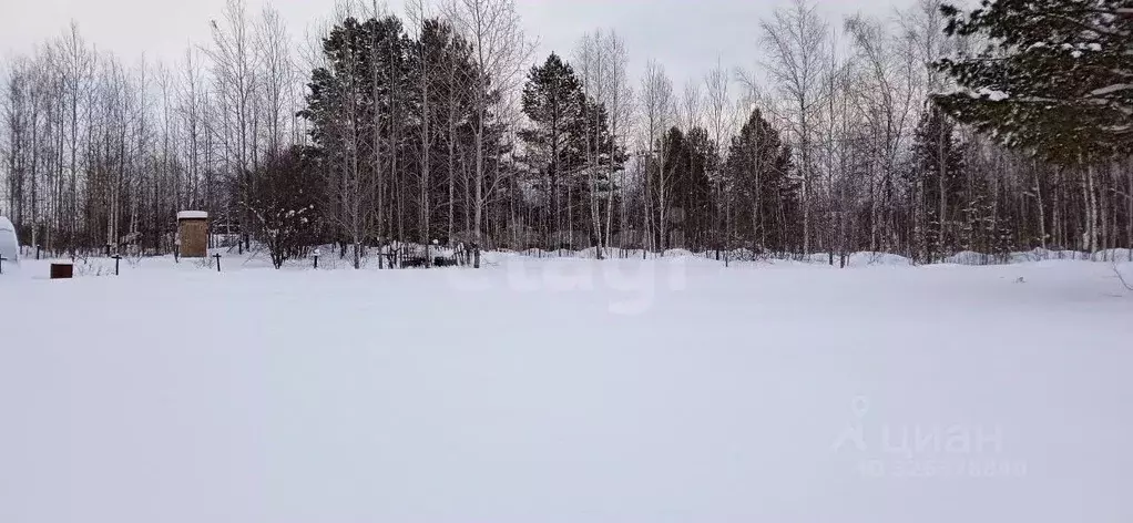 Участок в Тюменская область, Тюменский муниципальный округ, Подъем СНТ ... - Фото 1