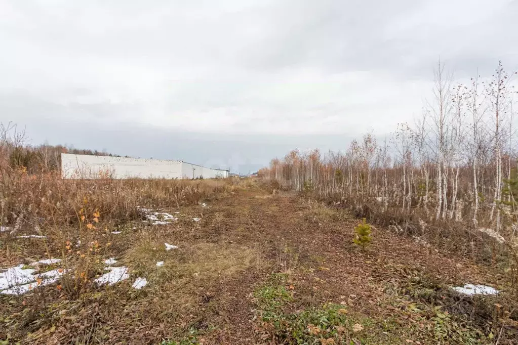 Участок в Тюменская область, Тюменский муниципальный округ, с. ... - Фото 1