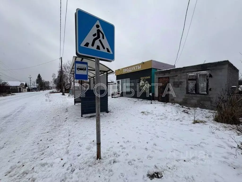 Участок в Тюменская область, Тюменский муниципальный округ, Винзили рп ... - Фото 2