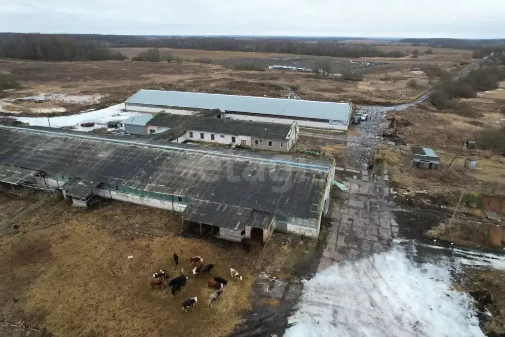 Склад в Калужская область, Юхновский муниципальный округ, Куркино ... - Фото 2