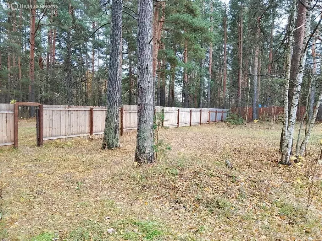 Участок в Дубна, район Институтский (8.5 м) - Фото 2