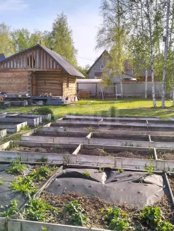 Участок в Тюменская область, Тюмень Собственников недвижимости Весна ... - Фото 1