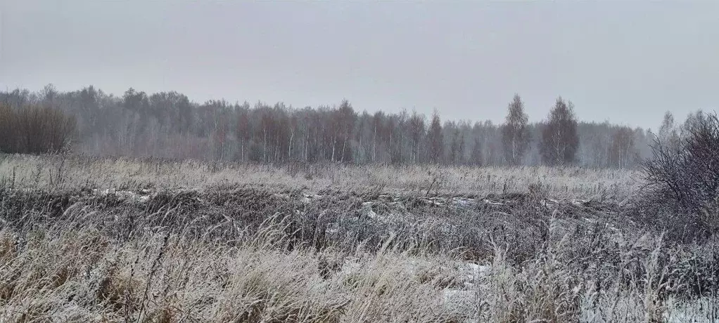 Участок в Московская область, Кашира городской округ, д. Никулино  ... - Фото 0