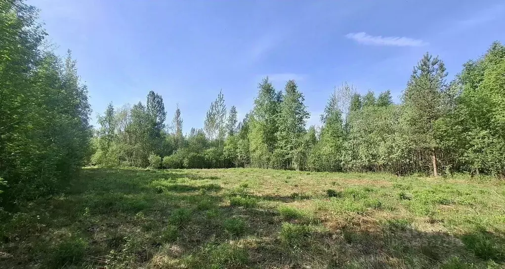 Участок в Ленинградская область, Новая Ладога Волховский район, Нептун ... - Фото 2