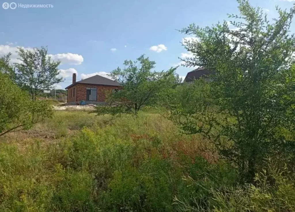 Участок в Волгоград, посёлок Участок ВПЭЛС № 5, Каховская улица, 31 (8 ... - Фото 1