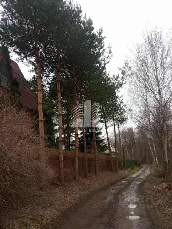 Участок в Московская область, Домодедово Восход СНТ, 59 (6.0 сот.) - Фото 1