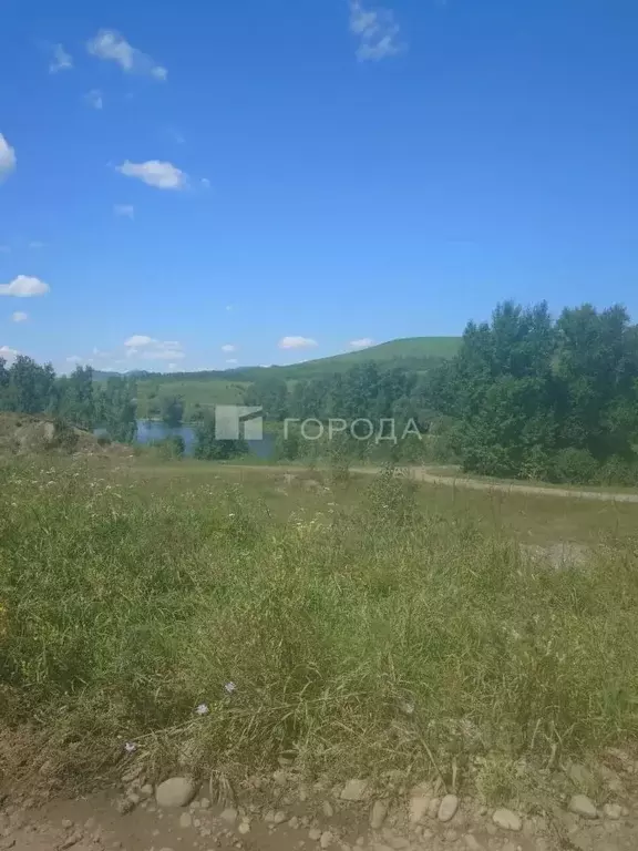 Участок в Алтайский край, Алтайский район, Айский сельсовет, с. Ая ул. ... - Фото 1