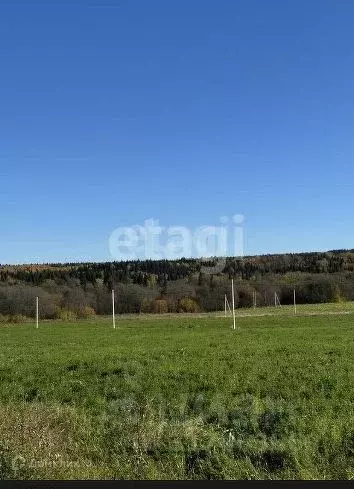 Участок в Пермский край, Башкултаевский кв-л  (20.0 сот.) - Фото 1