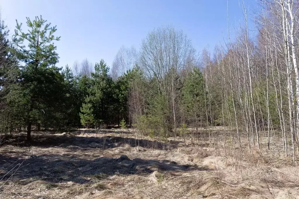 Участок в Владимирская область, Судогодский район, Лавровское ... - Фото 0