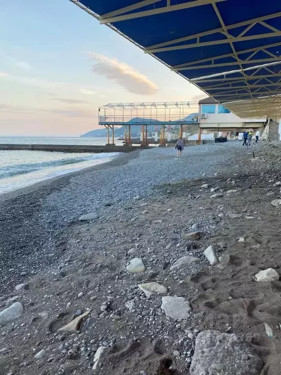 1-к кв. Крым, Алушта ул. Восточная Набережная, 7 (33.0 м) - Фото 0