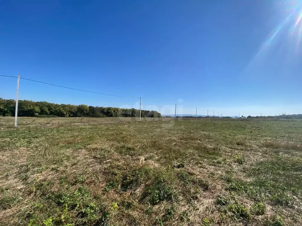 Участок в Краснодарский край, Новороссийск пос. Прохоровка, ул. ... - Фото 1