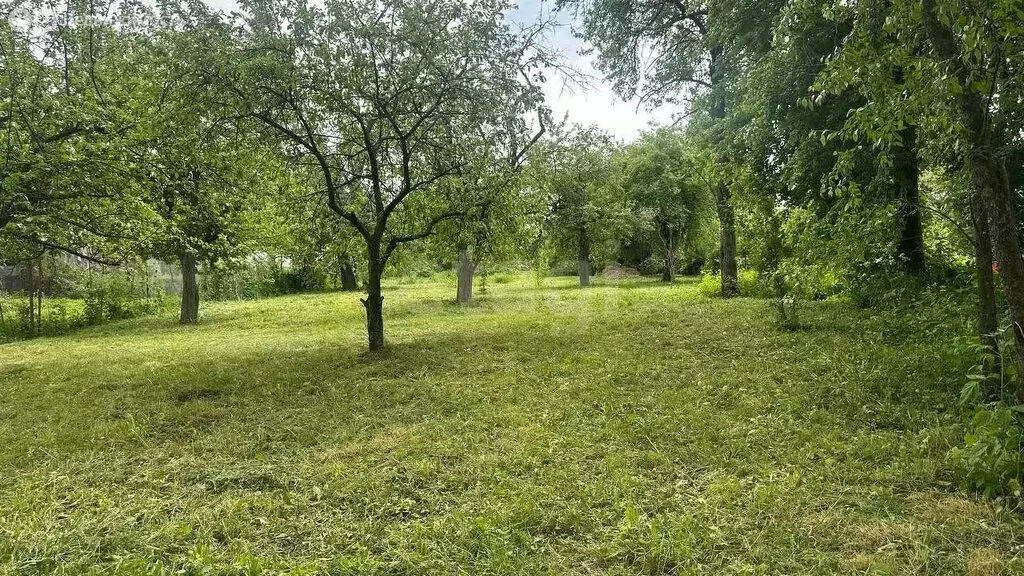 Участок в Орловский муниципальный округ, деревня Жуковка (16.5 м) - Фото 2