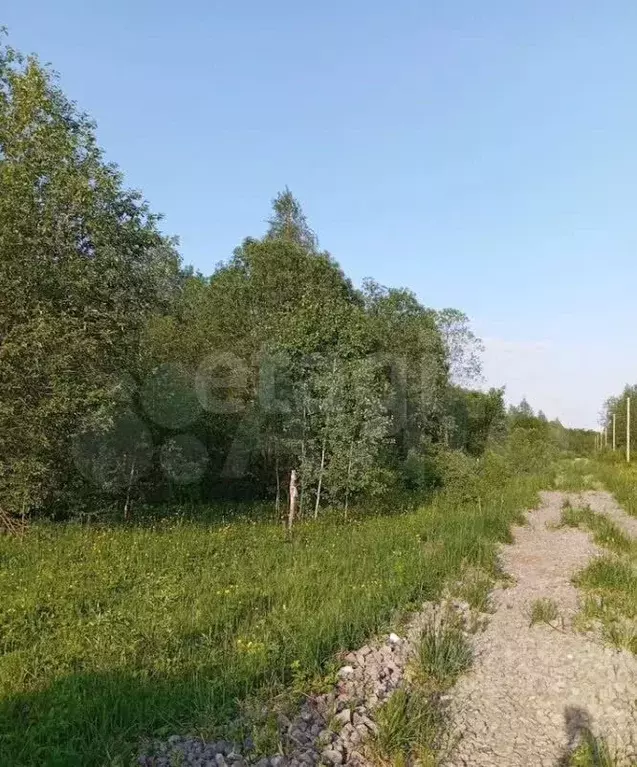 Участок в Вологодская область, Череповецкий район, Ирдоматское с/пос  ... - Фото 1