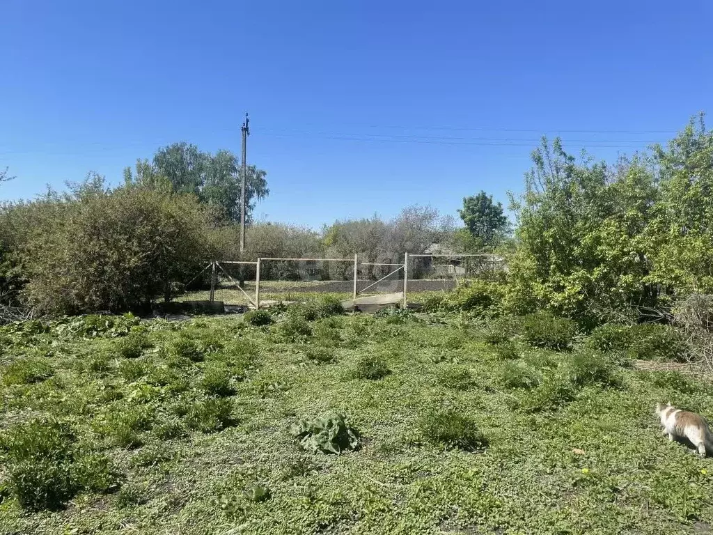 Дом в Мордовия, Саранск городской округ, с. Макаровка ул. Нагорная (49 ... - Фото 1