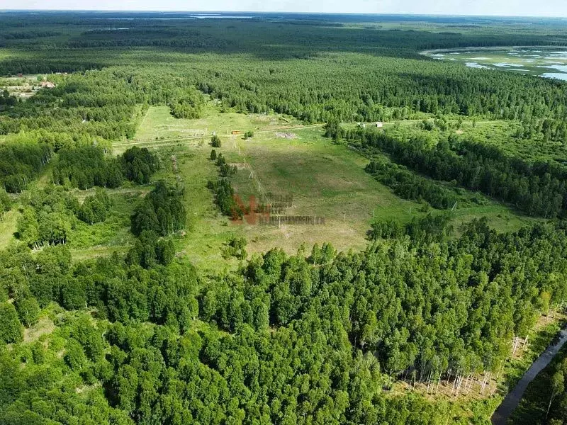 Участок в Тюменская область, Тюмень Велижанский тракт, 7-й км (24.0 ... - Фото 1