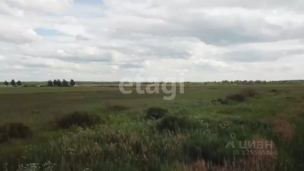 Участок в Московская область, Лотошино муниципальный округ, пос. ... - Фото 1