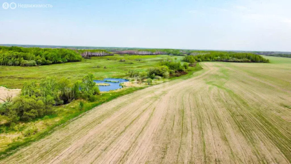 Участок в Хабаровский район, село Галкино (11.2 м) - Фото 1