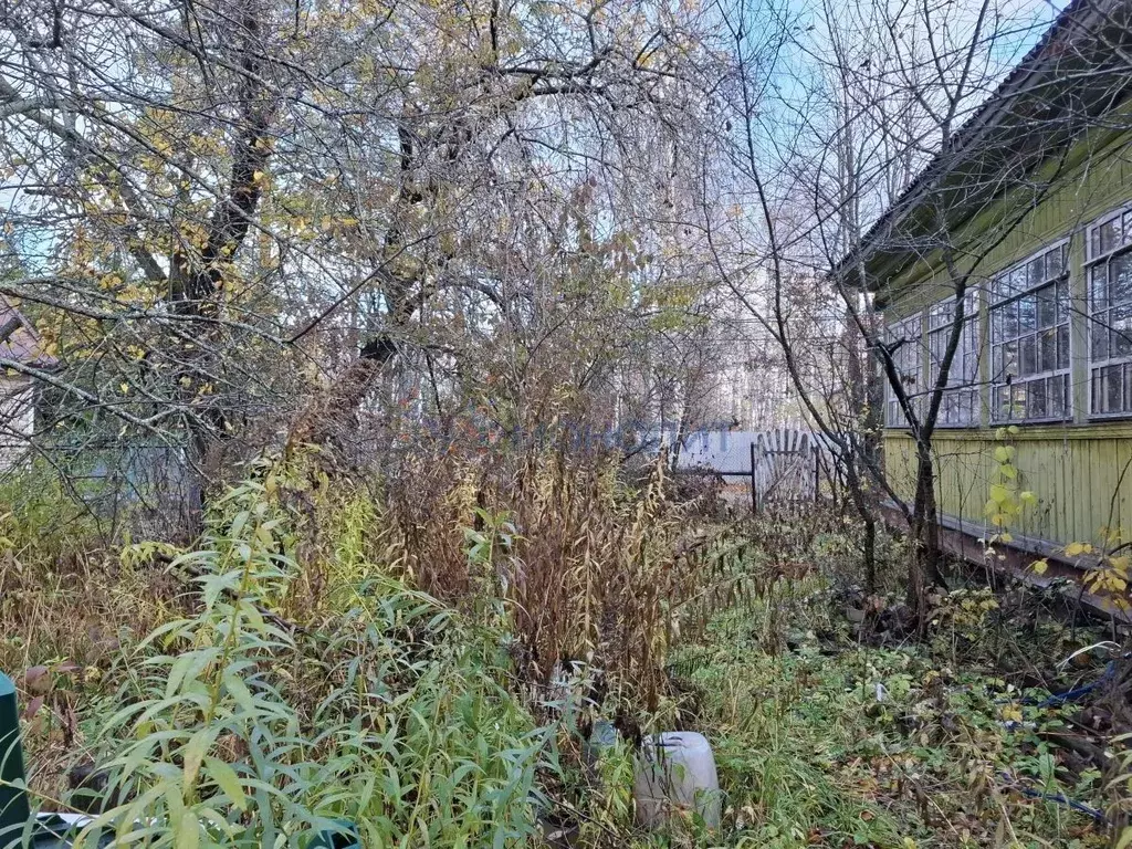 Дом в Нижегородская область, Нижний Новгород Зеленый Город кп, пос. ... - Фото 1