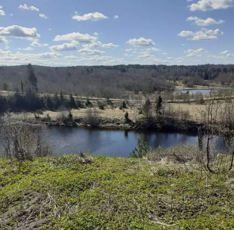 Участок в Вологодская область, Вытегорский муниципальный округ, пос. ... - Фото 1