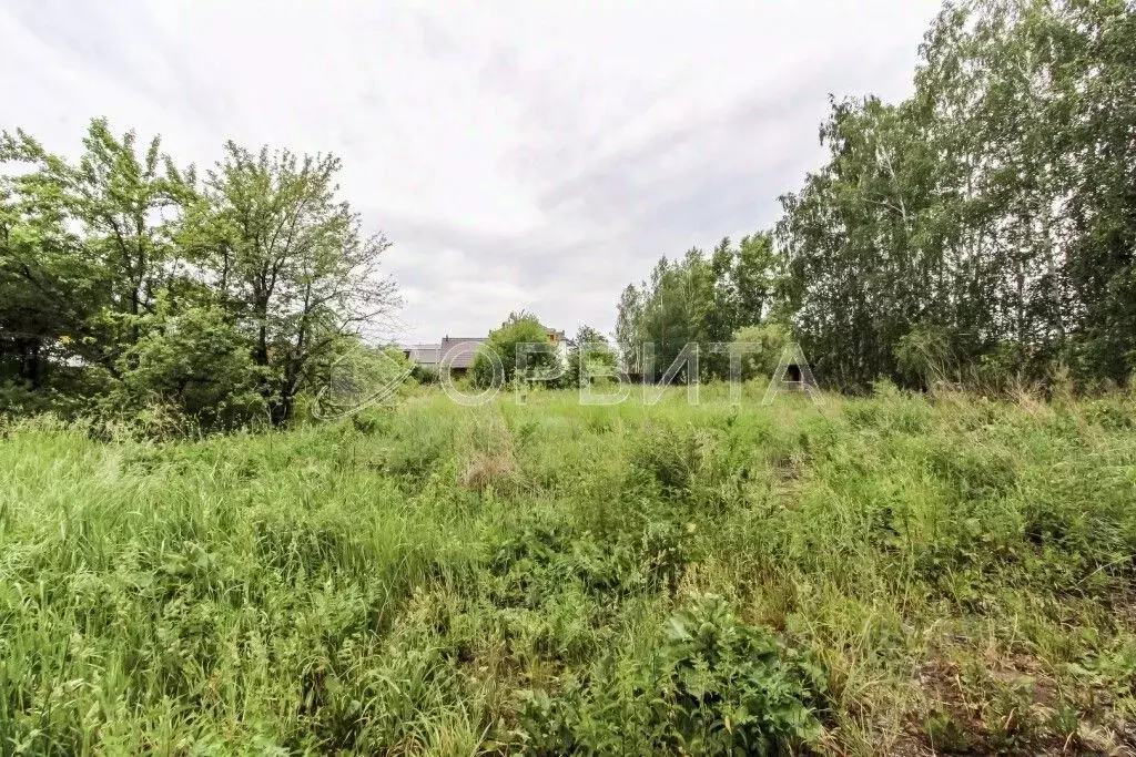 Участок в Тюменская область, Тюмень Березняковский мкр,  (16.0 сот.) - Фото 1